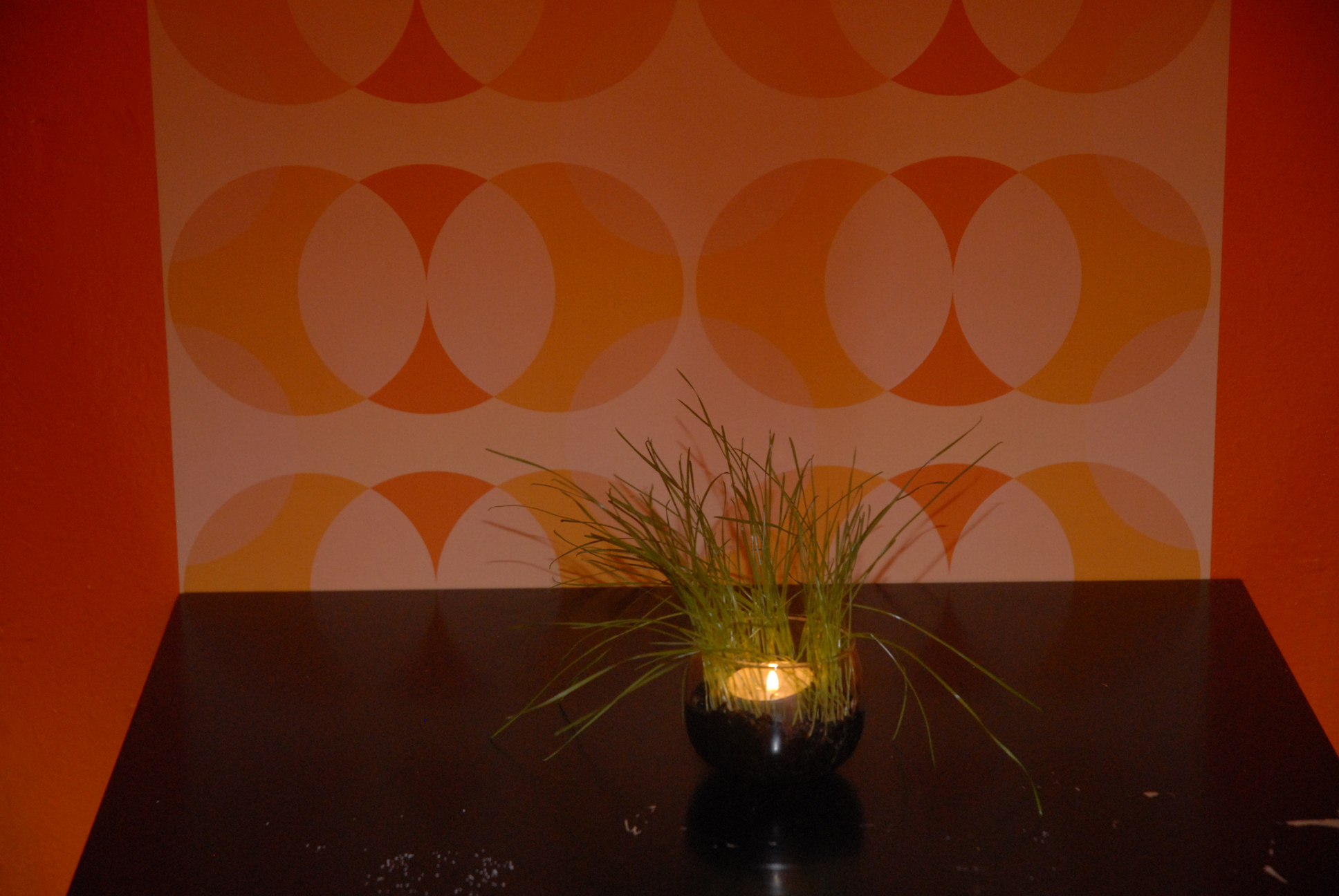 Sommerfeierei08 (36)